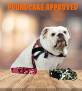 Adjustable Dog Collars