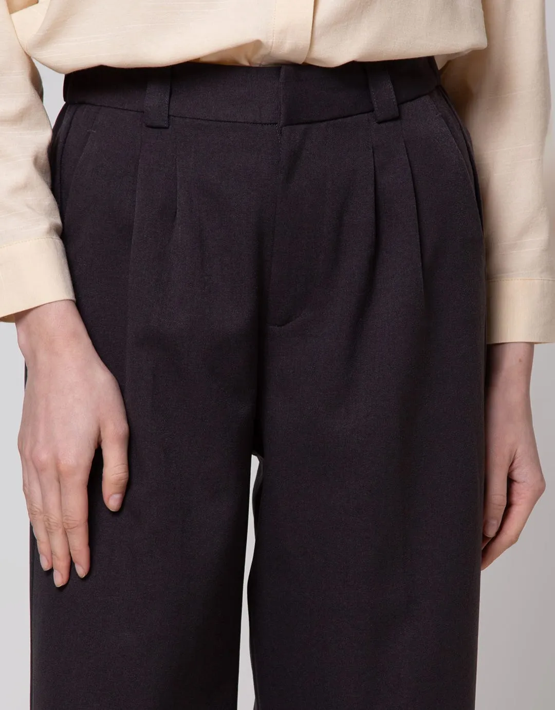 Annisa Long Pants Twill With Pleats In Front