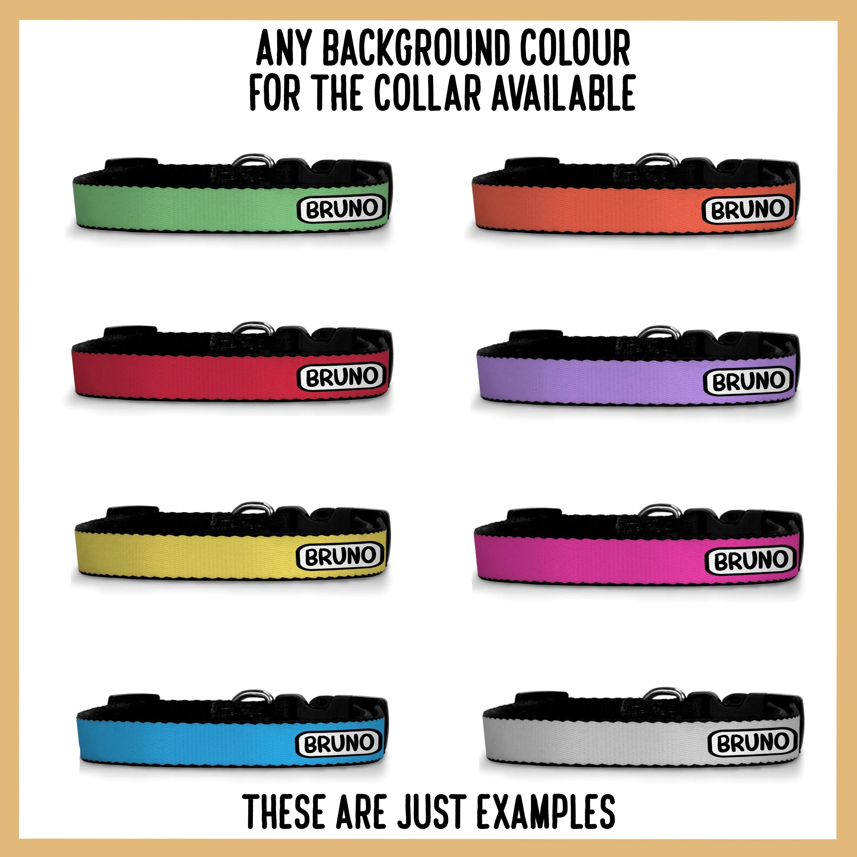Bernese Mountain Dog Collar