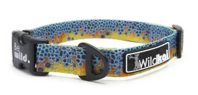 Brookie T. Collar