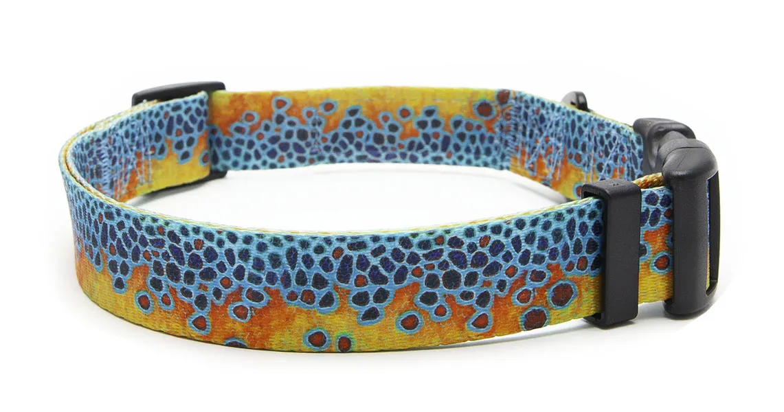 Brookie T. Collar