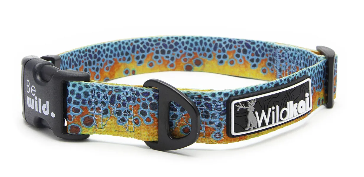 Brookie T. Collar