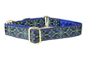 Exeter in Blue & Gold - Martingale or Buckle Dog Collar - 1" Width