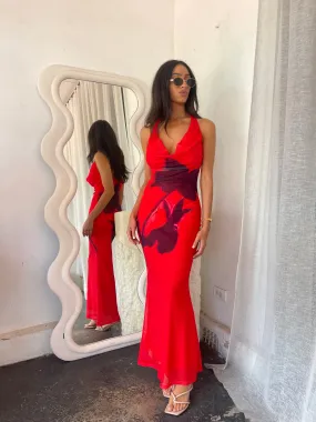Rose Mesh halter Dress