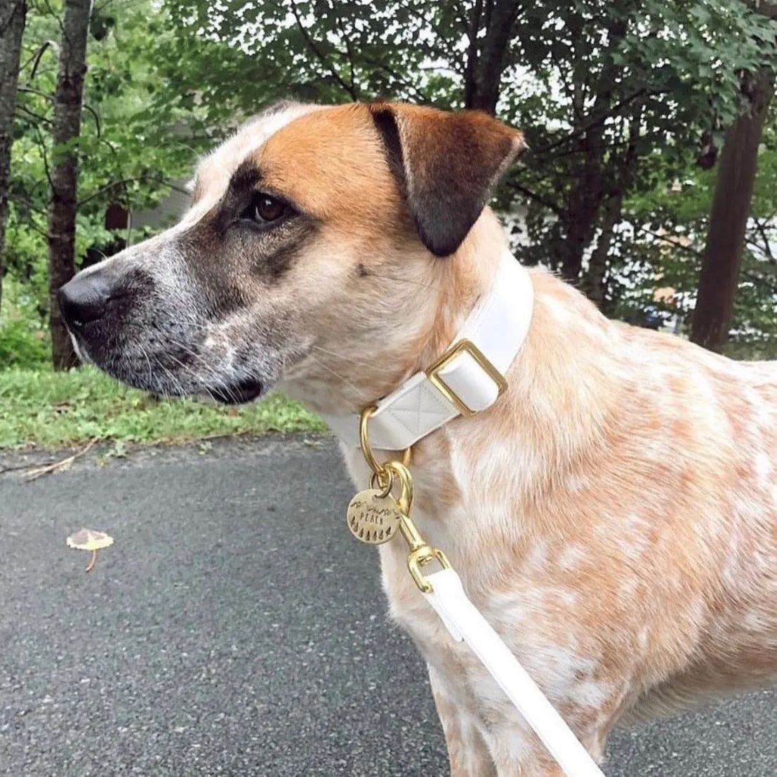 White Pearl Gold Collar